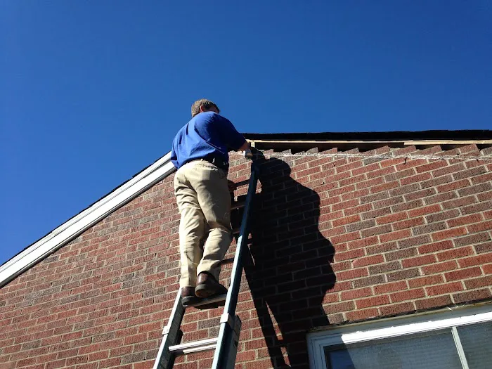 Perfection Pest Control Picture 7