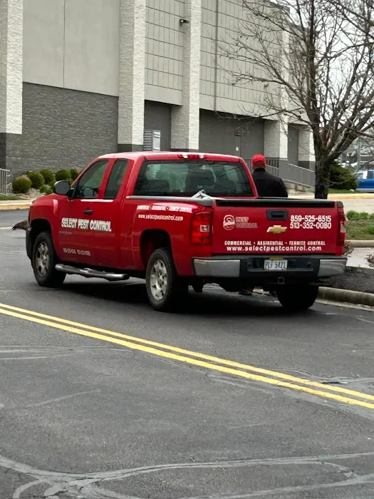 Select Pest Control Picture 4