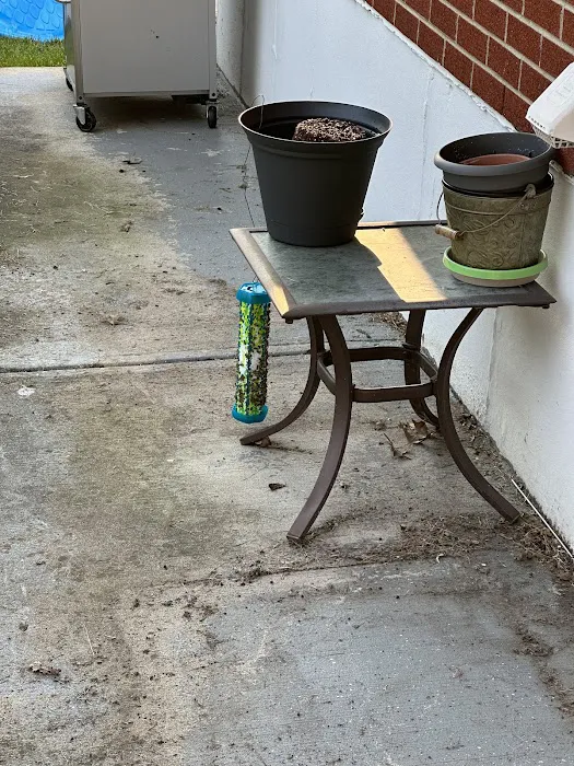 Complete Bee Removal Picture 10