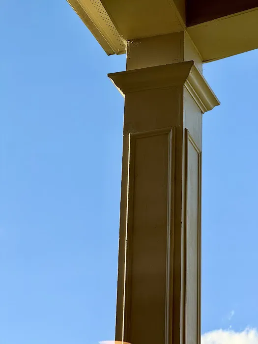 Complete Bee Removal Picture 2