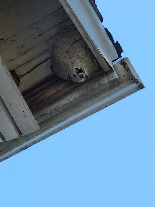 Boatner's Pest Management Picture 1