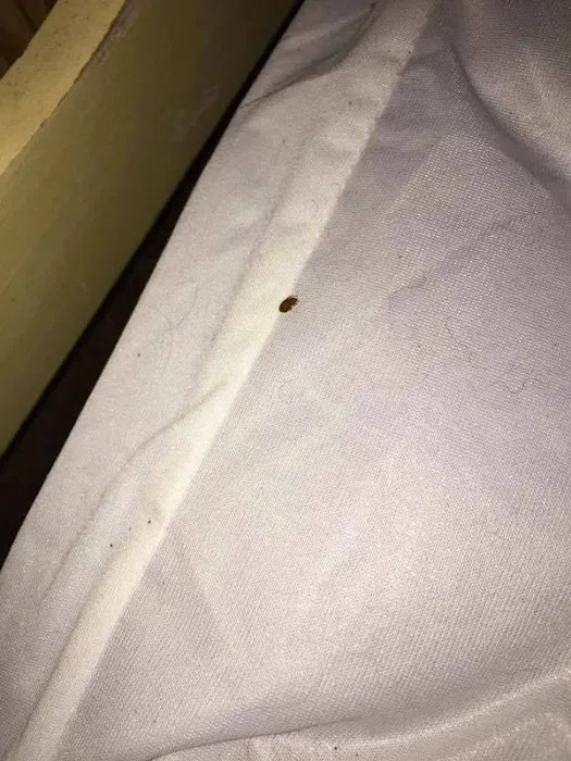 Boatner's Pest Management Picture 7