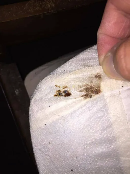 Boatner's Pest Management Picture 3
