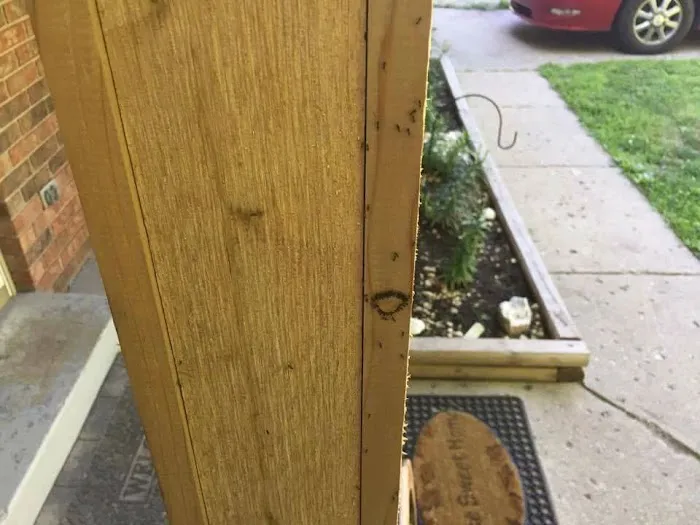 Boatner's Pest Management Picture 10