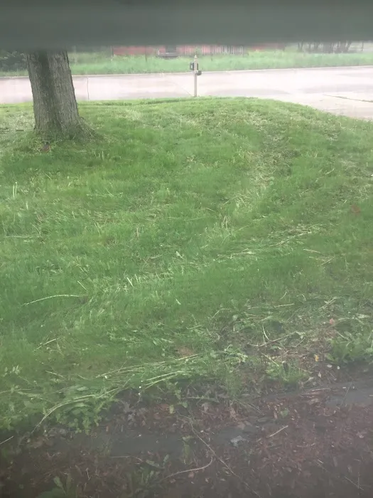 Naturescape Lawn and Landscape Care Picture 10