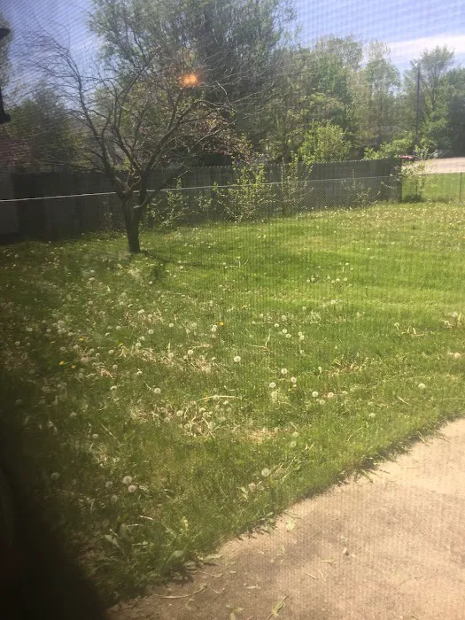 Naturescape Lawn and Landscape Care Picture 5