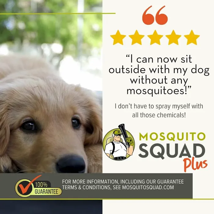 Mosquito Squad Plus of Cincinnati-NKY Picture 6