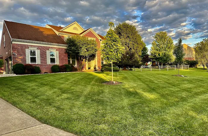 Oasis Turf & Tree Picture 2
