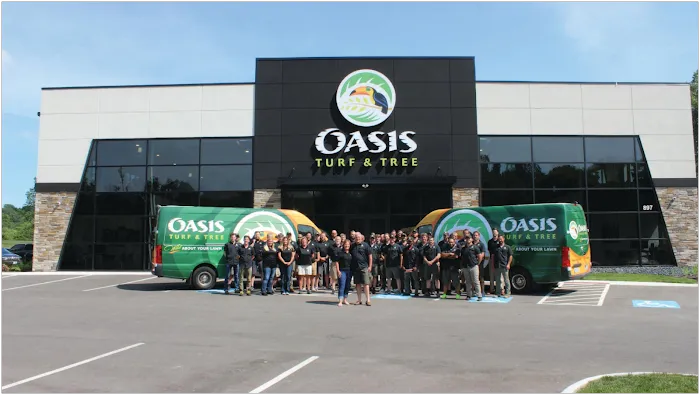 Oasis Turf & Tree Picture 5