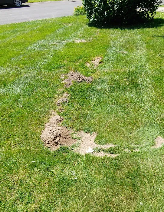 The Mole Hunter Picture 7