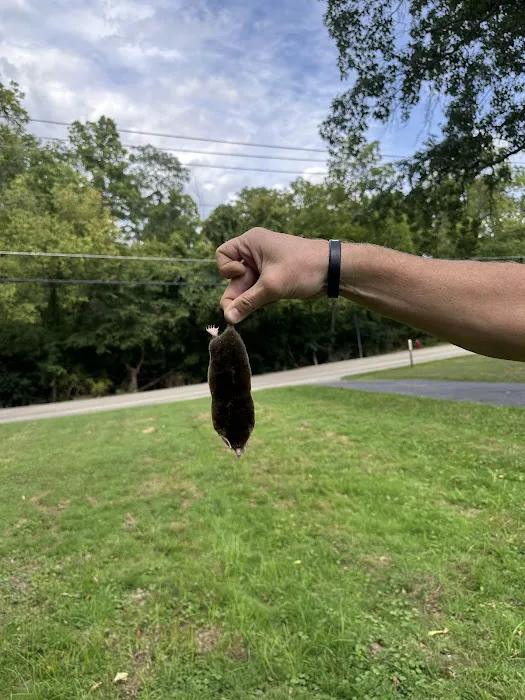 The Mole Hunter Picture 8