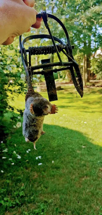 The Mole Hunter Picture 2