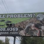 Another Critter Gone