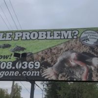 Another Critter Gone ico