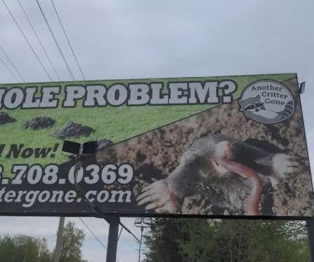 Another Critter Gone