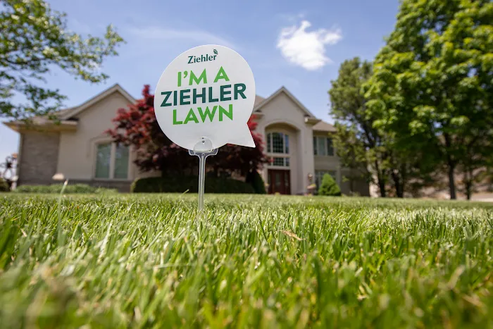 Ziehler Lawn Care Picture 7