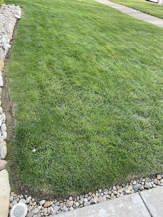 Ziehler Lawn Care Picture 8