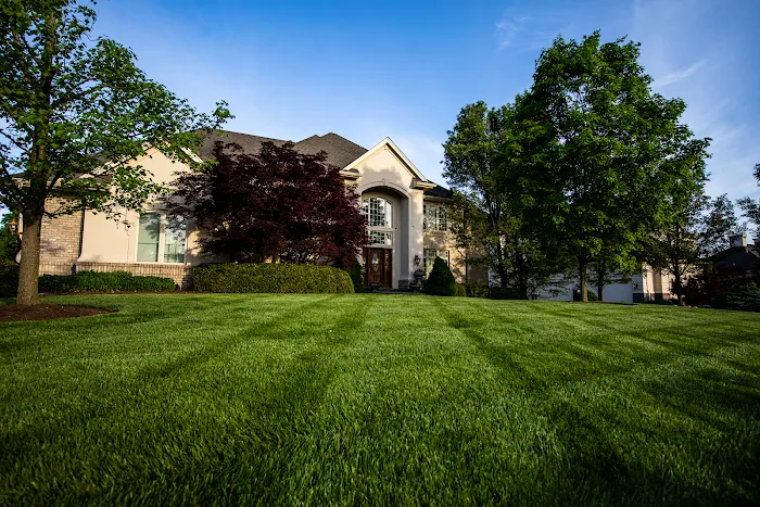 Ziehler Lawn Care Picture 5
