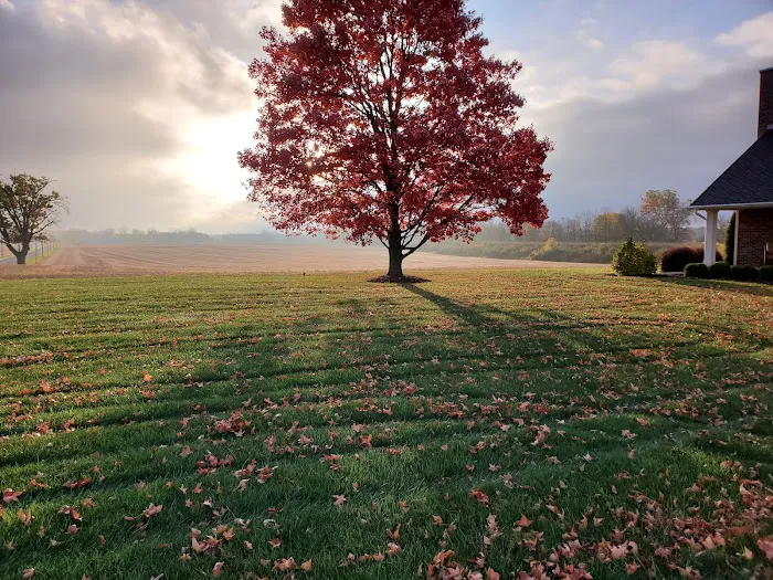 GreenWorks Lawn Solutions, LLC. Picture 2