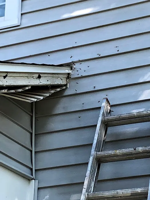 Genesis Pest Services Picture 3