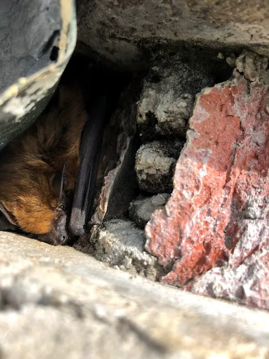 Genesis Pest Services Picture 9