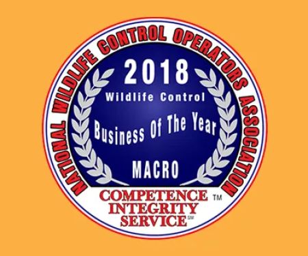 Varment Guard Wildlife Services