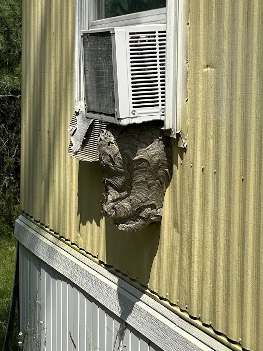 Shipley Pest Solutions, LLC Picture 8