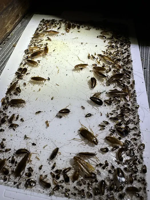 Shipley Pest Solutions, LLC Picture 10