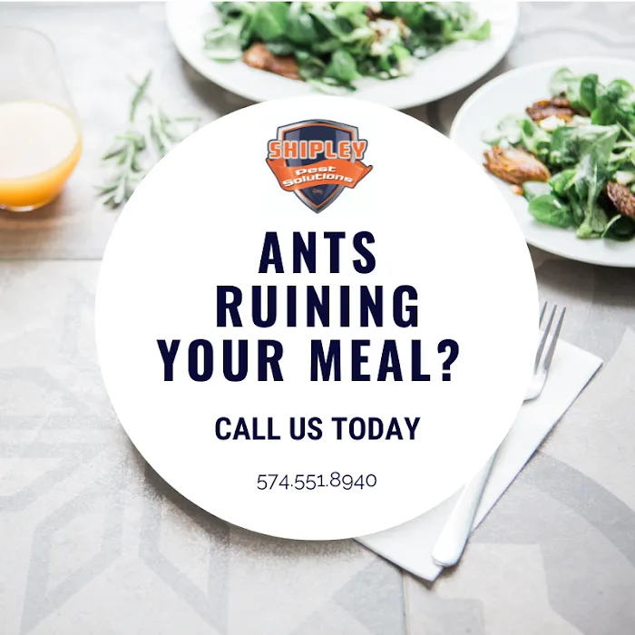 Shipley Pest Solutions, LLC Picture 4