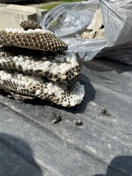 Shipley Pest Solutions, LLC Picture 5