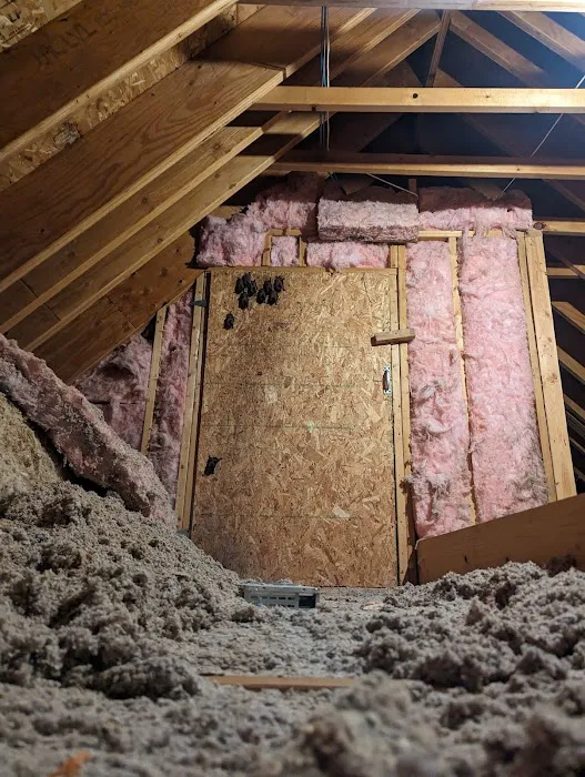 Pest Away Solutions LLC Picture 7