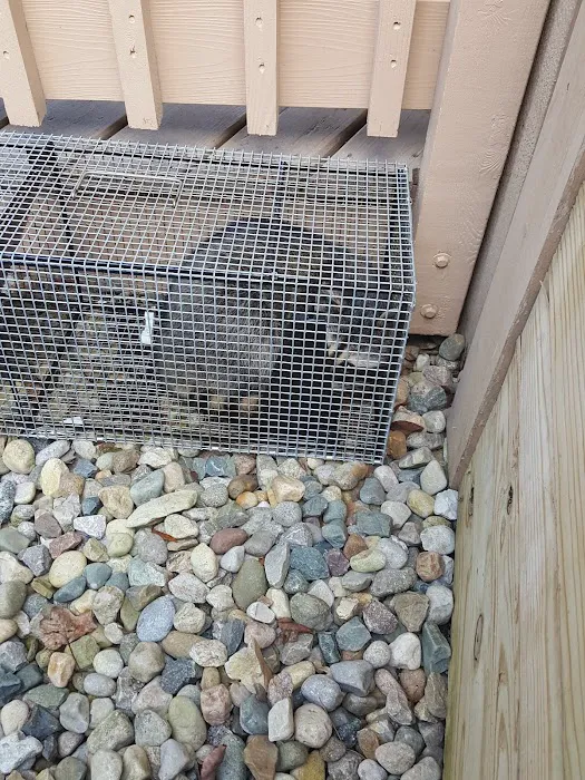 Pest Away Solutions LLC Picture 5