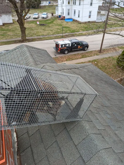 Pest Away Solutions LLC Picture 10