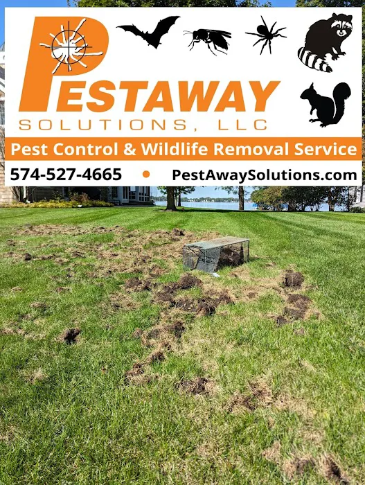 Pest Away Solutions LLC Picture 2