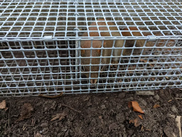 Pest Away Solutions LLC Picture 8