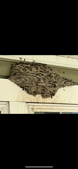 Michiana Pest Solutions Picture 9