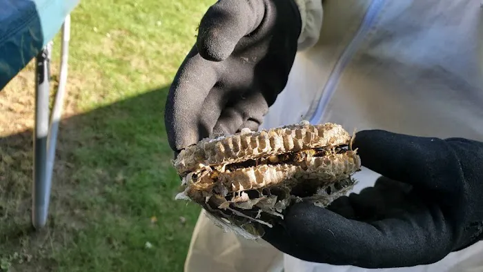 Michiana Pest Solutions Picture 7
