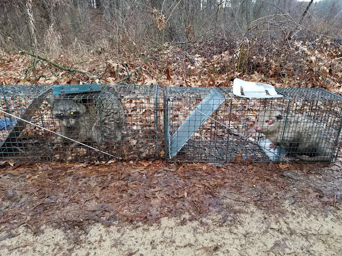 Stratex Pest Control LLC Picture 7