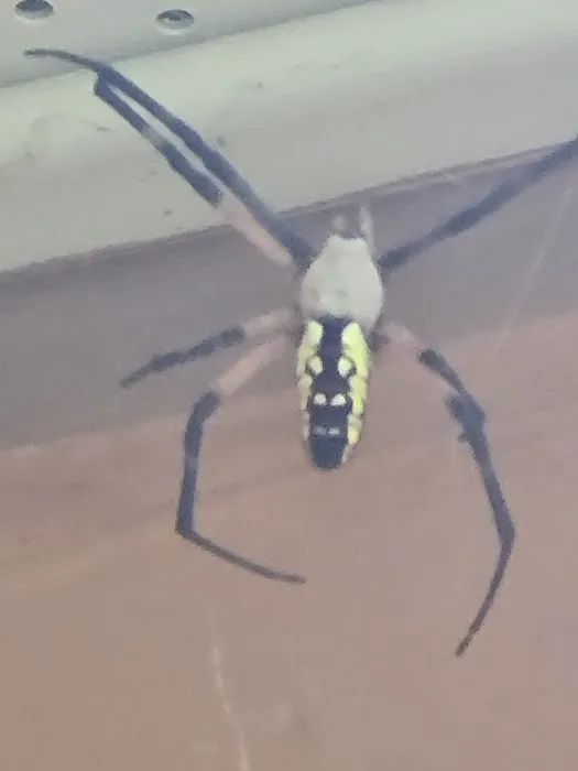 Stratex Pest Control LLC Picture 10