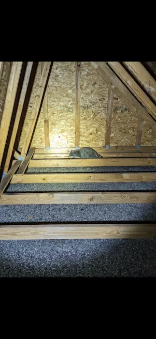 Bauman's Wildlife & Pest Control LLC Picture 8