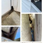 Bauman's Wildlife & Pest Control LLC
