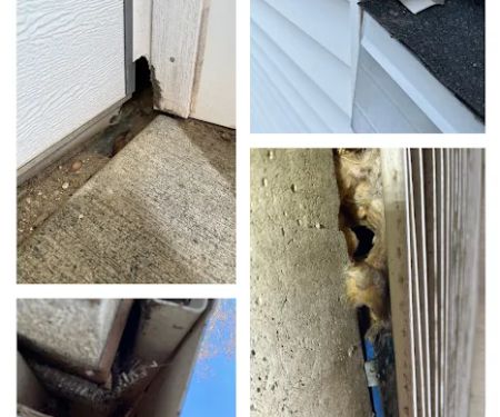Bauman's Wildlife & Pest Control LLC