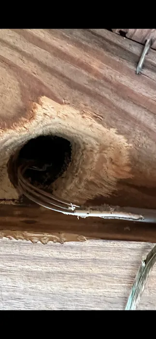 Bauman's Wildlife & Pest Control LLC Picture 9