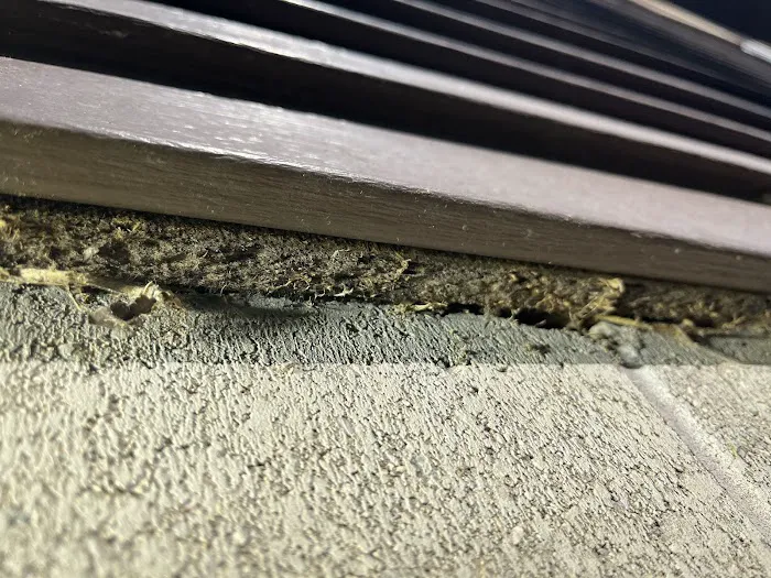 Bauman's Wildlife & Pest Control LLC Picture 10