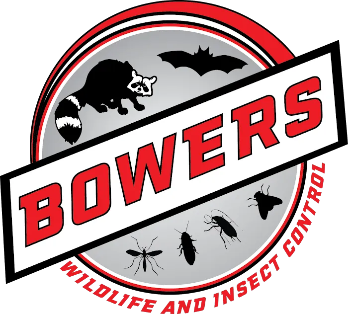 Bowers Pest Control Picture 1