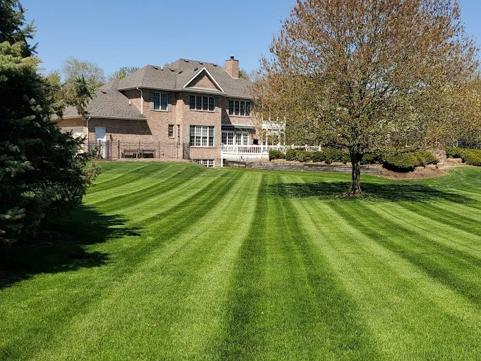 Pine Knoll Lawn Pest Control Picture 3