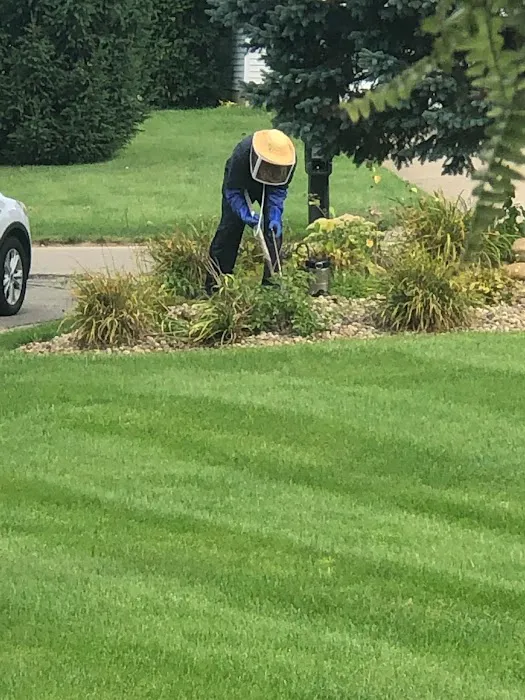 Extreme Pest Control Picture 2