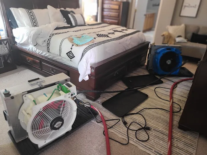 Bed Bug Specialist Picture 10