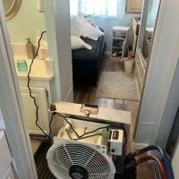 Bed Bug Specialist ico