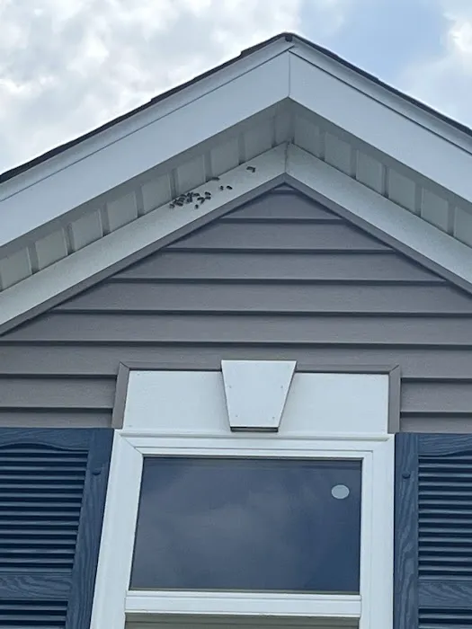Greenix Pest Control Picture 10